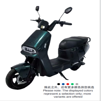 Electric Bicycle Model: Future