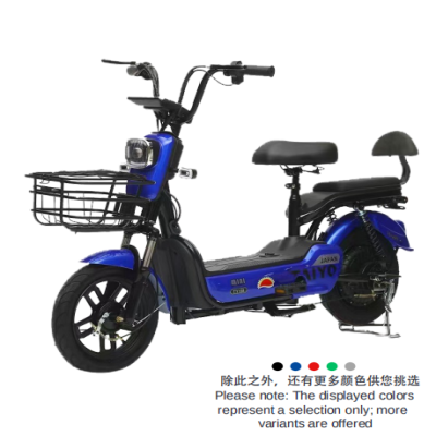 Electric bicycle model: HLD