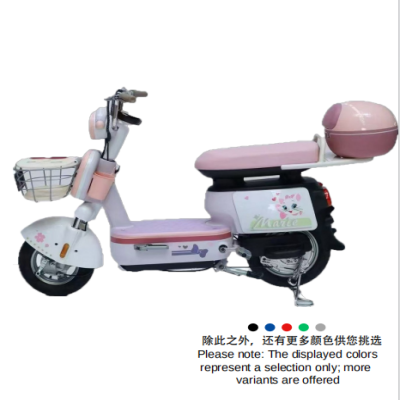 Electric bicycle model: Immo W