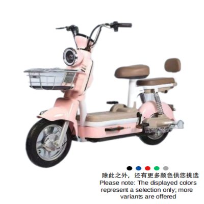 Electric bicycle model: Modern