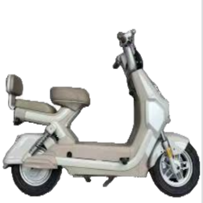 Electric bicycle model: DAVI