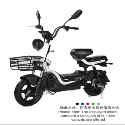 Electric bicycle model: KUDA