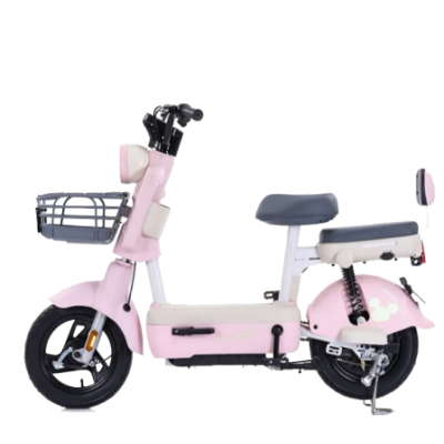 Electric bicycle model: Magic Universe