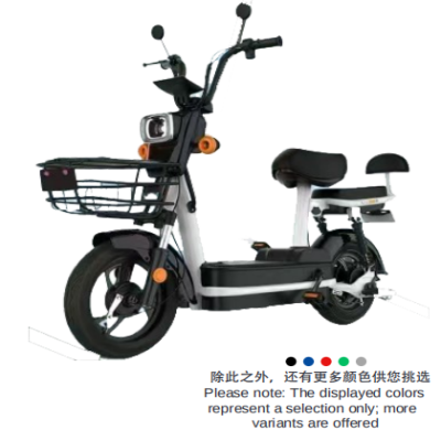 Electric bicycle model: Phantom Cullinan